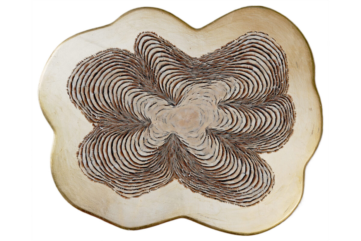 Growth Rings IV